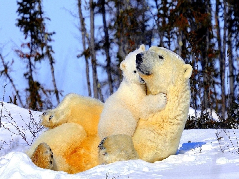 试管内蜡烛怎么洗(瑞白 试管 作用)