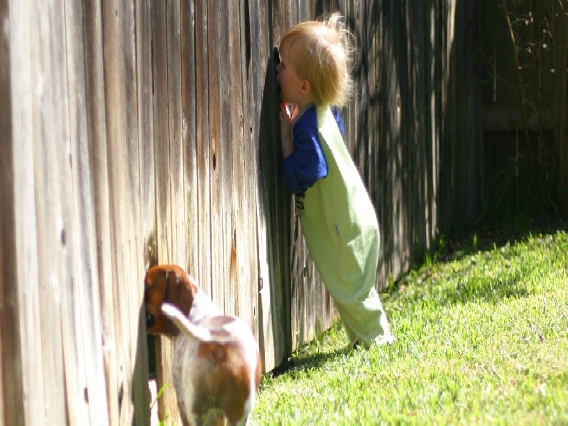 姚 试管婴儿(雨彤试管之路)